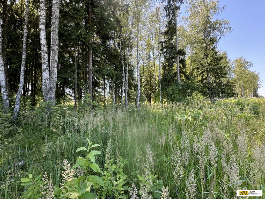 Продажа участка, Некрасовский, Дмитровский район, ул. Ленина - Фото 0