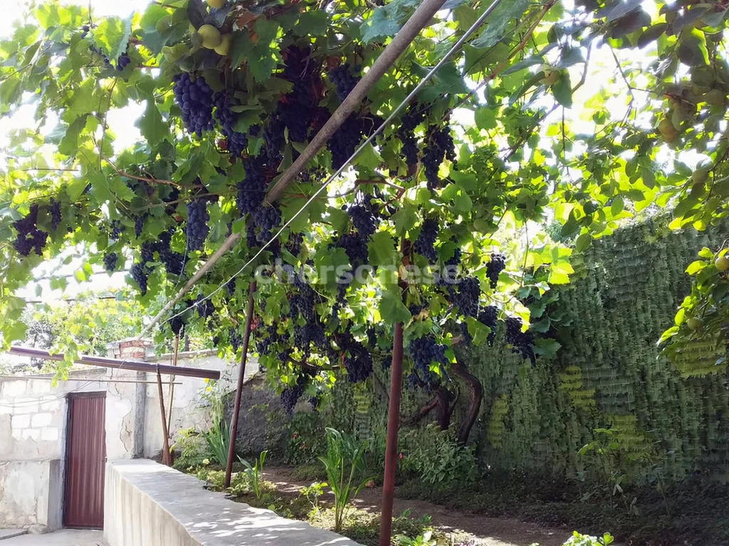 Продажа дома, Севастополь, ул. Мечникова - Фото 16