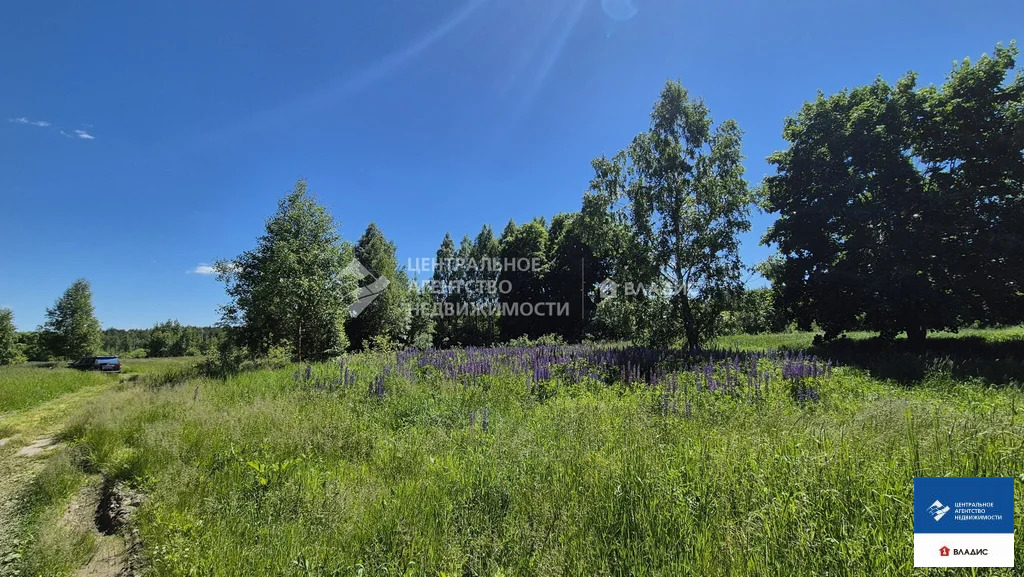 Продажа участка, Лаптево, Клепиковский район - Фото 4