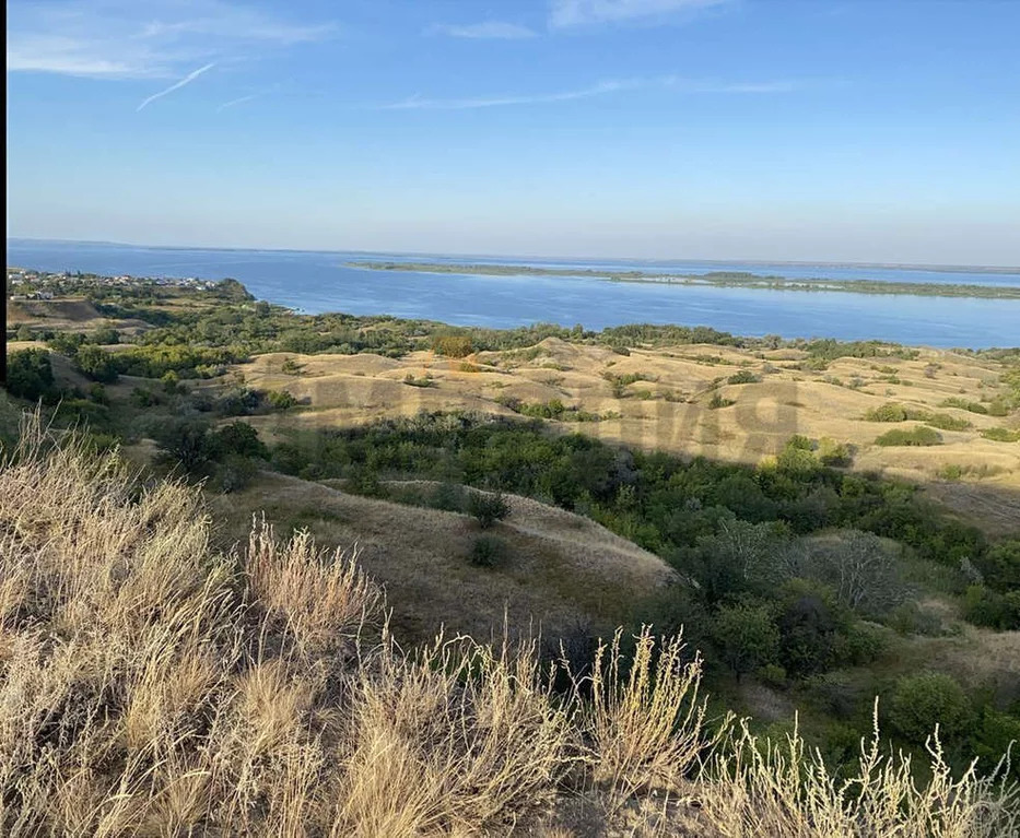 Село синенькие саратовской. Синенькие Саратовская. Синенькие Саратовская область фото.