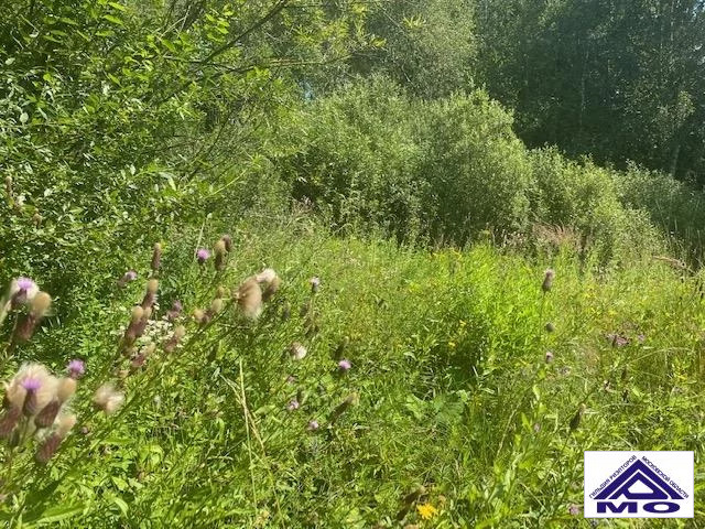 Купить Участок Спас Каменка Дмитровский Район