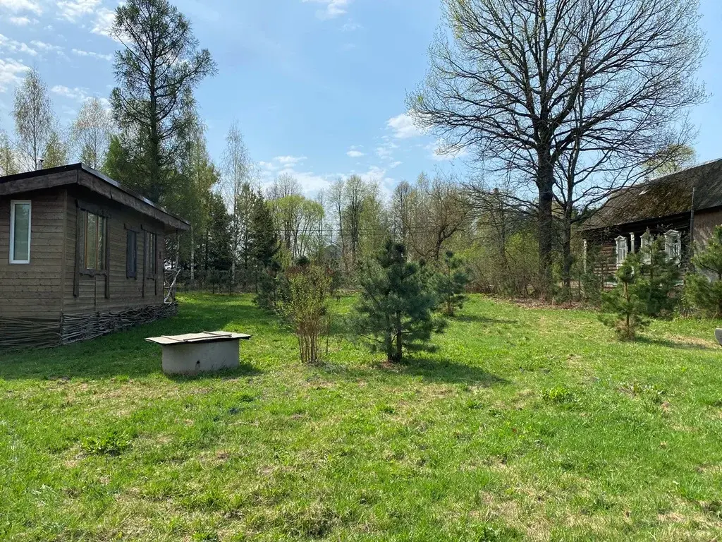 Дом в дереве Горки - Фото 19