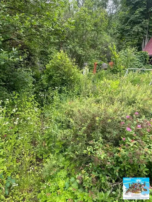 СНТ Надежда, участок 5 соток - Фото 4