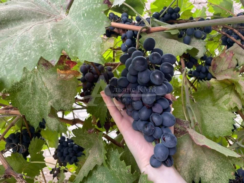 Продажа дома, Георгиевск, ул. Мира - Фото 29