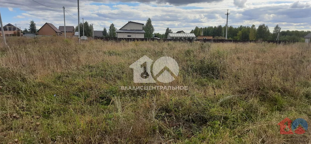 Искитимский район, село Морозово, земля на продажу - Фото 6