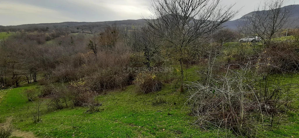 Продажа участка, Богатырь, Бахчисарайский район, ул. Шевченко - Фото 6