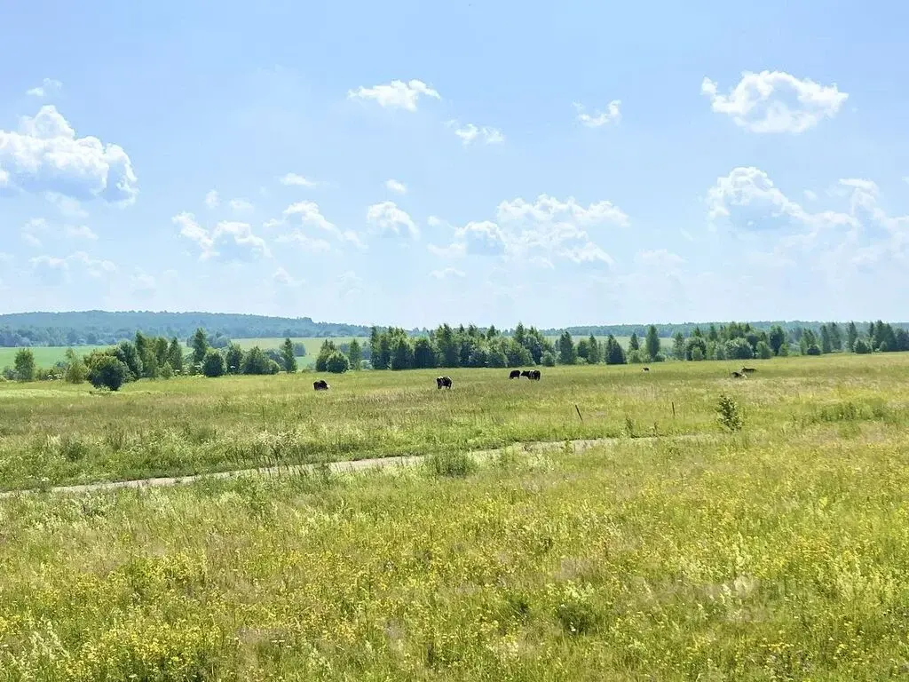 Продажа дома 75.0м Ярославская область, Переславль-Залесский городской ... - Фото 21