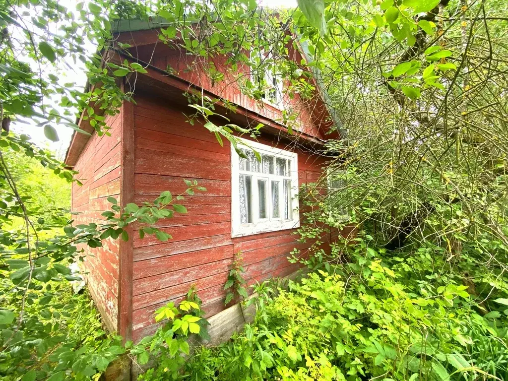 Дача в СНТ Меланжист-4 - Фото 1