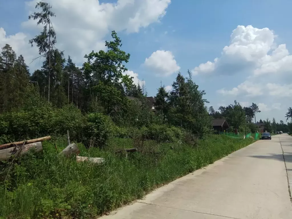 Продажа большого лесного участка в поселке на Новорижском шоссе 18км - Фото 3