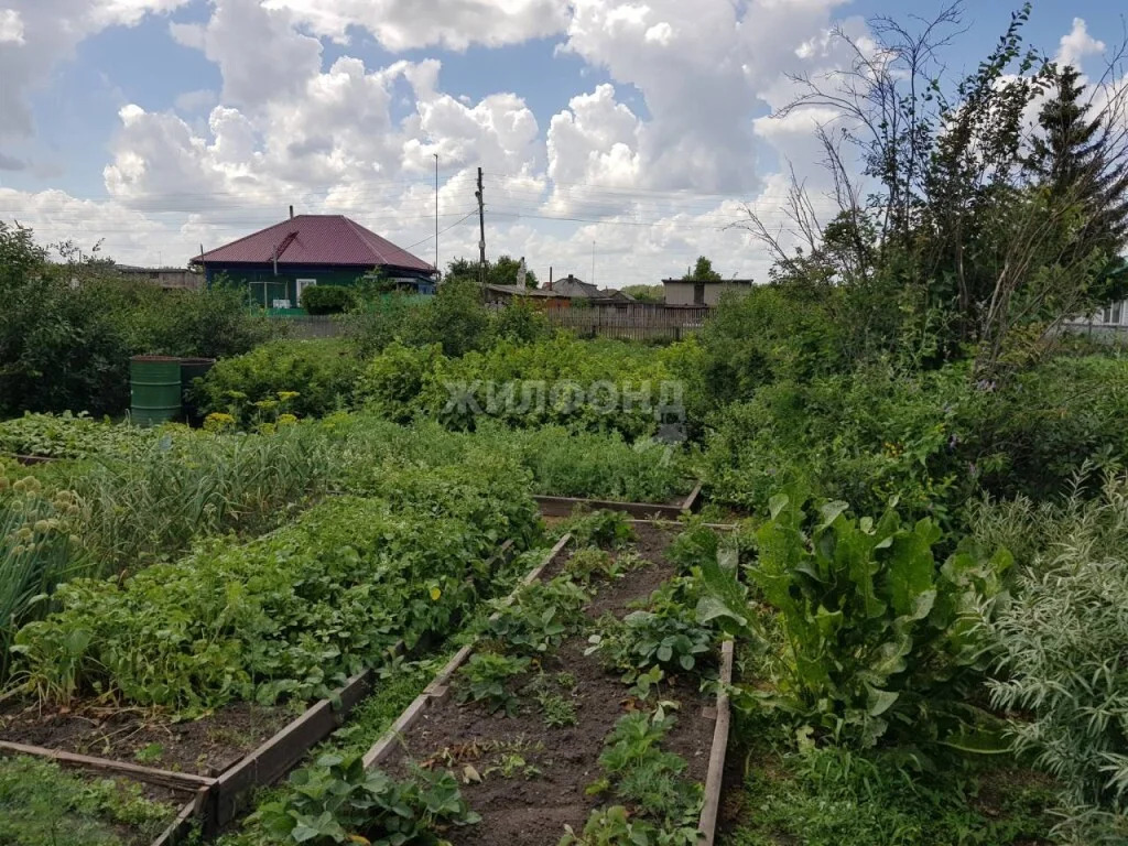 Продажа дома, Коченево, Коченевский район, ул. Рабочая - Фото 24