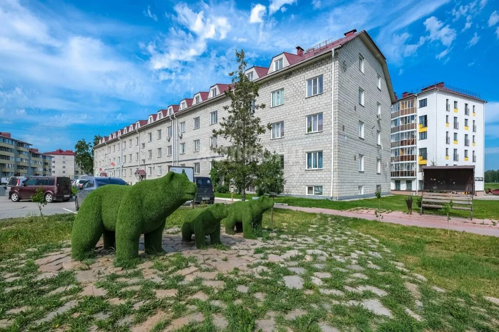 Продажа квартиры, Октябрьский, Мошковский район, ул. Локтинская - Фото 20