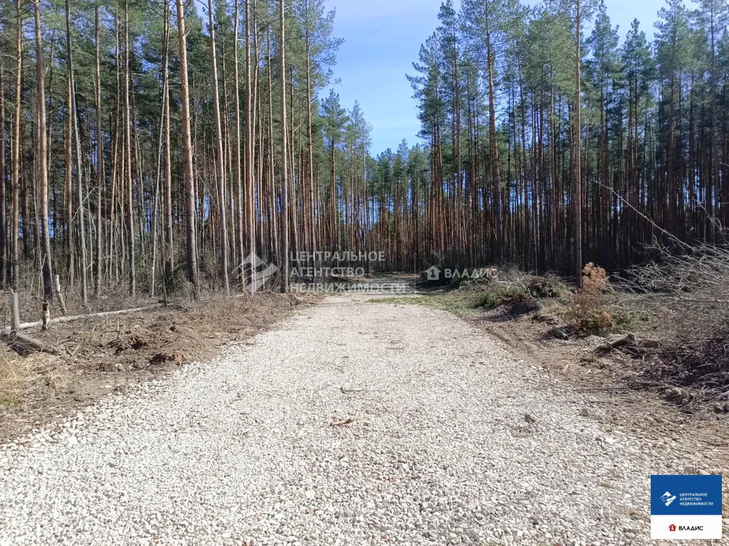 Продажа участка, Алеканово, Рязанский район - Фото 6