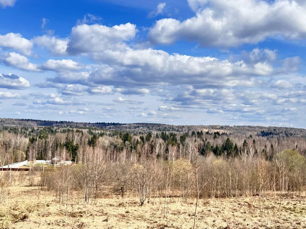 Продажа участка, Горбово, Дмитровский район - Фото 12