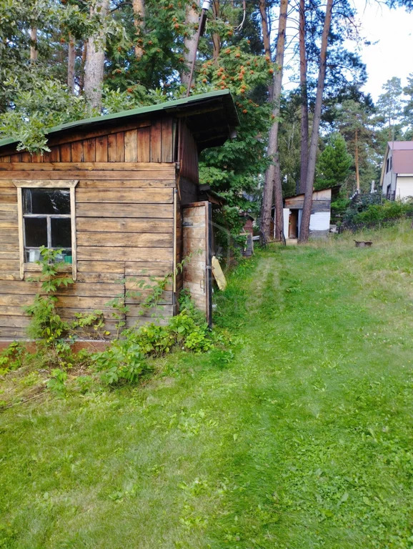 Продажа дома, Седова Заимка, Новосибирский район - Фото 10