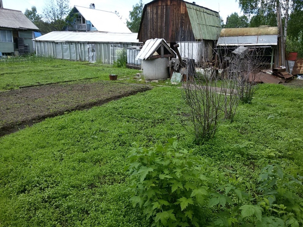 Купить Дачу В Сыктывкар Р Н Максаков