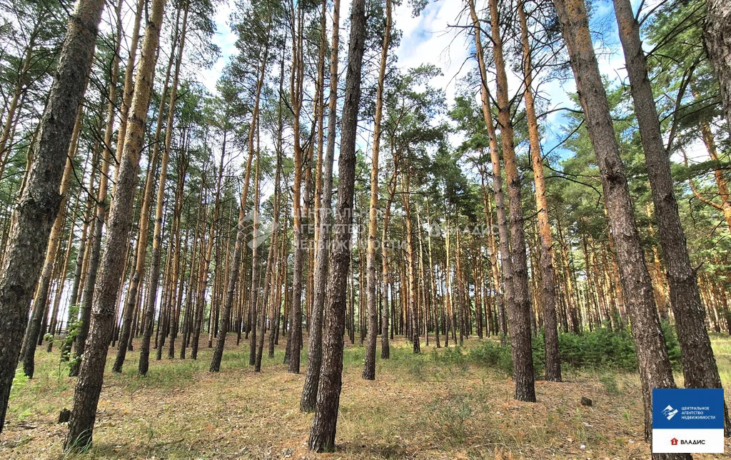 Продажа участка, Рязанский район - Фото 1