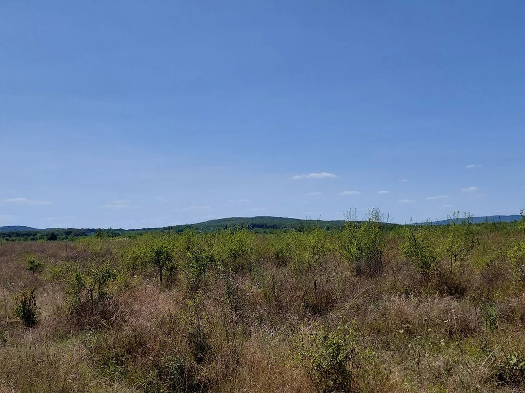 Продажа участка, Григорьевская, Северский район - Фото 2