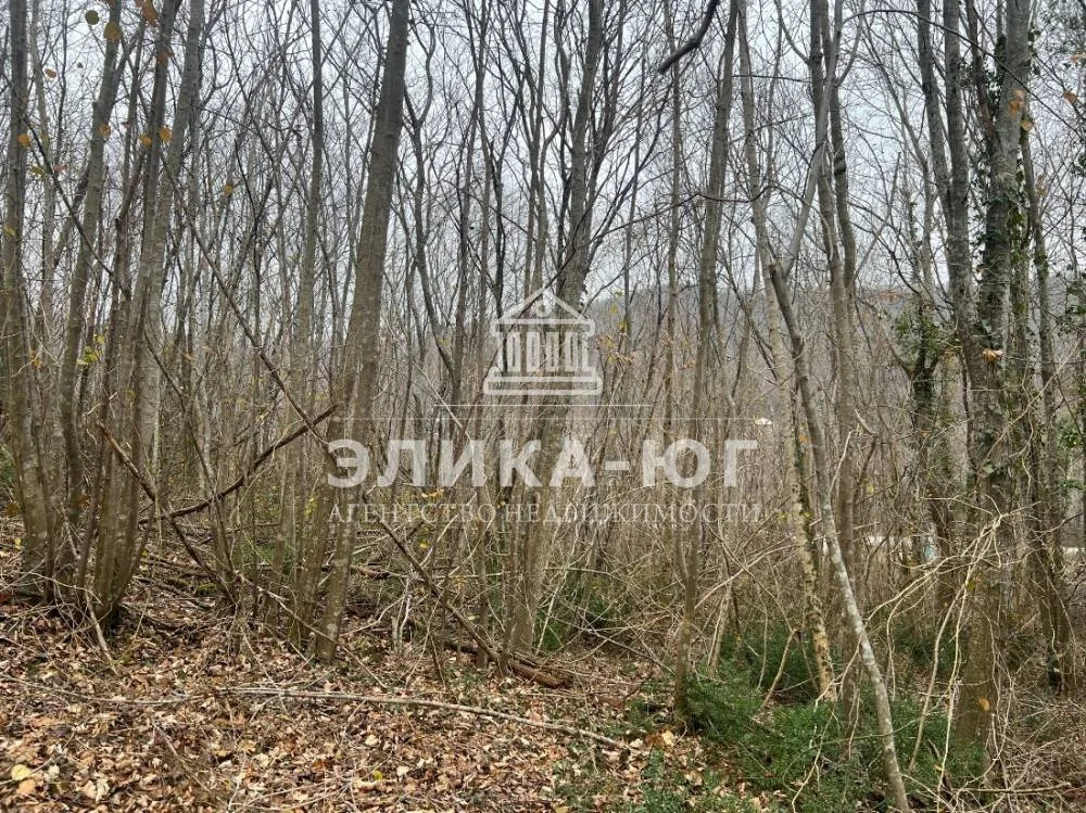 Продажа участка, Бжид, Туапсинский район, мкр. Юг - Фото 2