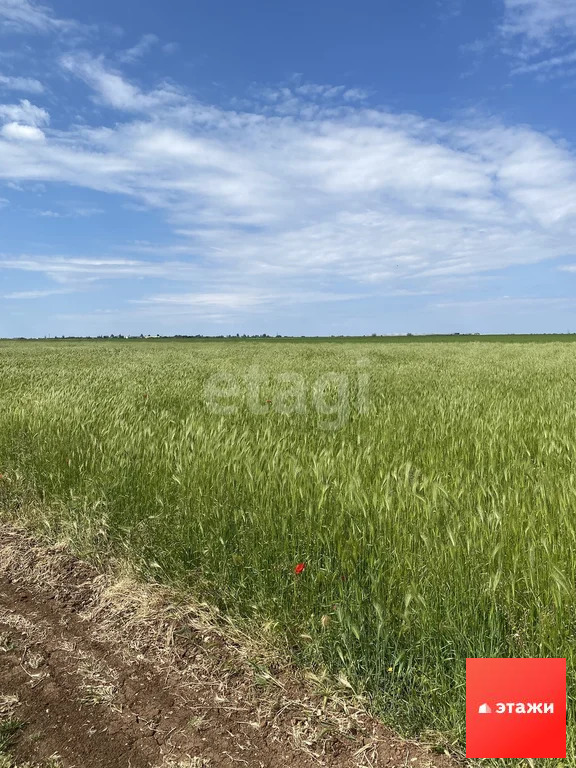 Продажа участка, Геройское, Сакский район - Фото 7
