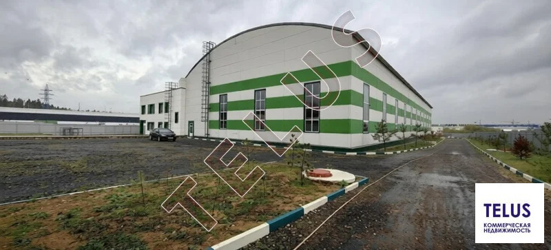 МО Дмитровский р-н д Шолохово 4770м2 Склад (ном. объекта: 8286) - Фото 2