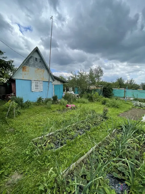 Продаю дачу 25 кв.м,  в с. Березнецово Ступинского района. - Фото 1
