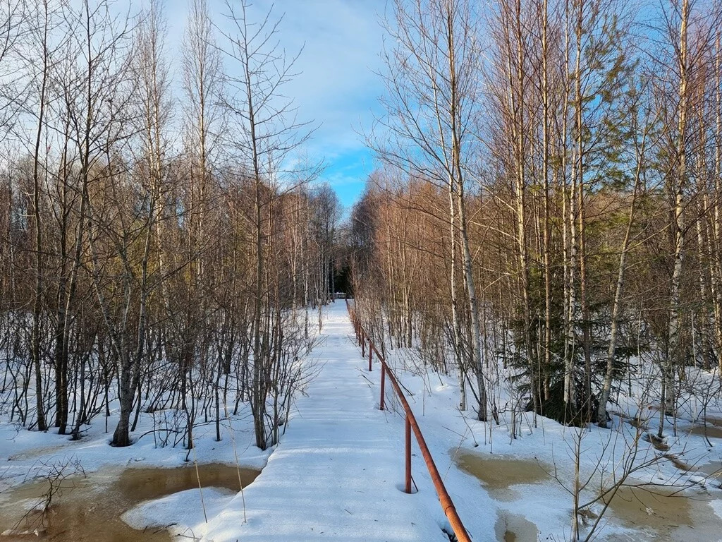 Продажа участка, Большое Поле, Выборгский район - Фото 2