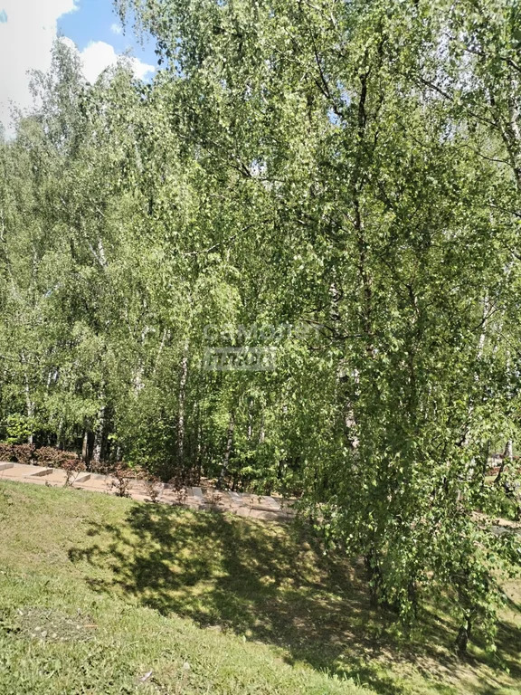Продажа квартиры, Сапроново, Ленинский район, Северный кв-л. - Фото 22