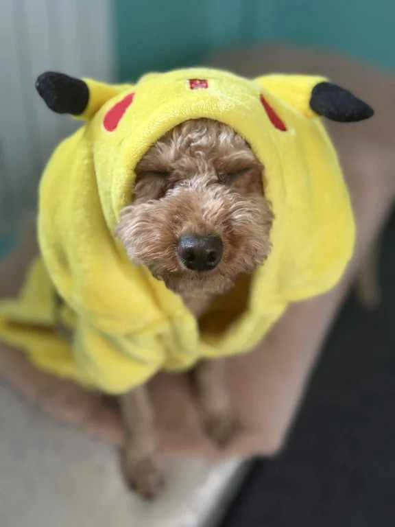 Аренда койко-места посуточно - Фото 5