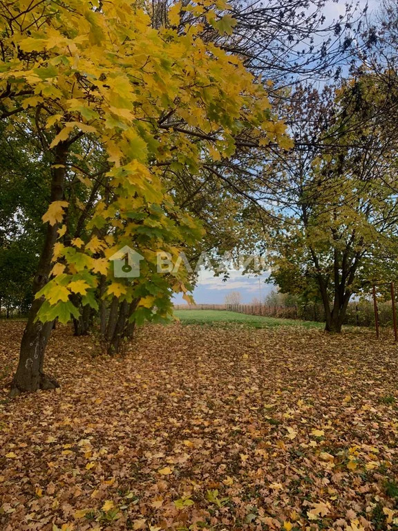 городской округ Зарайск, деревня Печерники, Дачная улица,  дом на ... - Фото 27