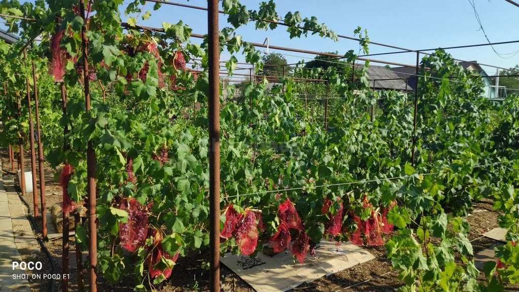 Продажа участка, Севастополь, территория СТ Сапун-гора - Фото 3