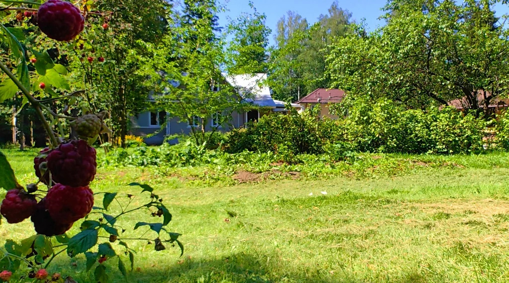 Продажа участка, Апрелевка, Наро-Фоминский район, ул. Кутузова - Фото 23