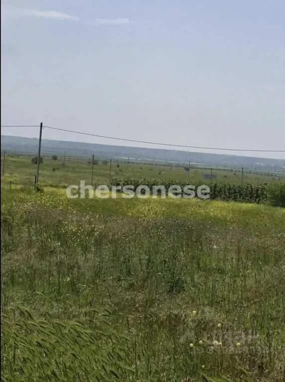 Продажа участка, Береговое, улица Новосёловская - Фото 4