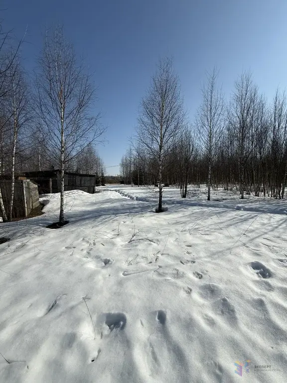 Продаю участок ясные зори - Фото 1