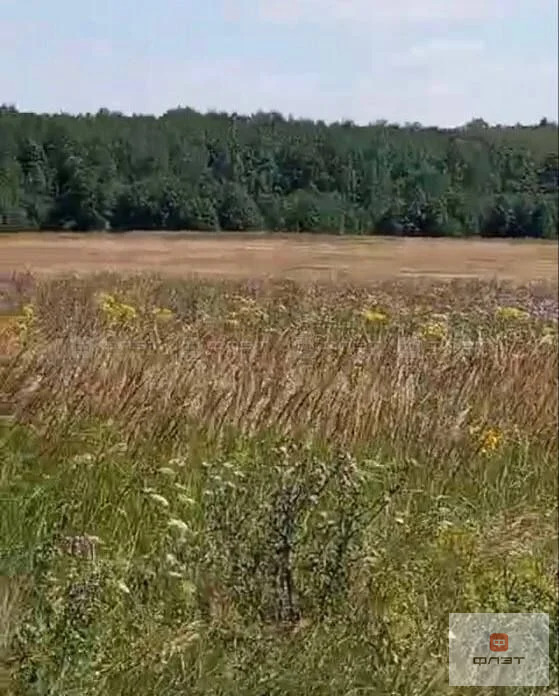 Продажа участка, Конь, Пестречинский район, ул. Пионерская - Фото 2