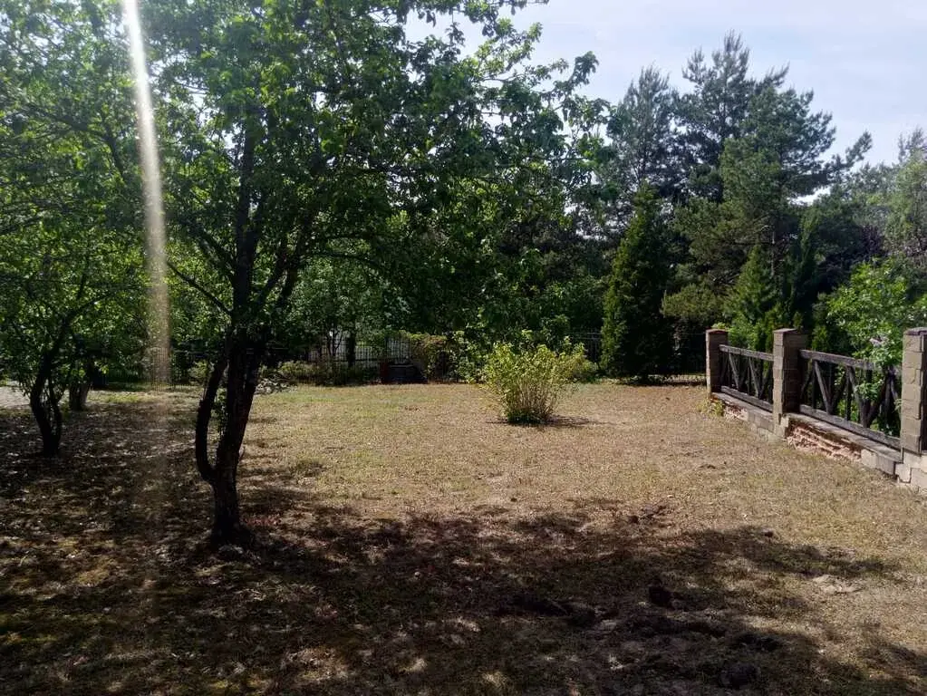 Дом, с.Тишково, кп Михалёвский сад - Фото 6