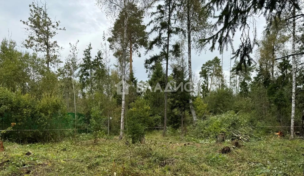 городской округ Солнечногорск, село Алабушево, микрорайон Дедёшино, ... - Фото 0