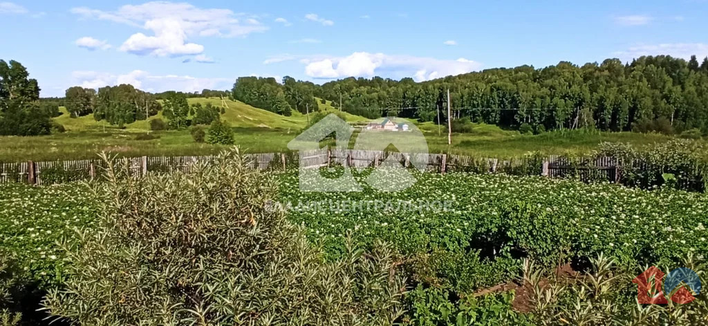 Маслянинский район, село Елбань, Заречная улица, д.1, 3-комнатная ... - Фото 26