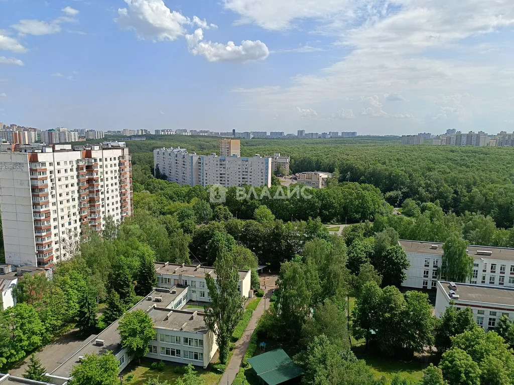 Москва, Ленинский проспект, д.131к2, 3-комнатная квартира на продажу - Фото 20