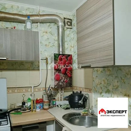 2-комнатная квартира, пос. Елизаветино - Фото 1