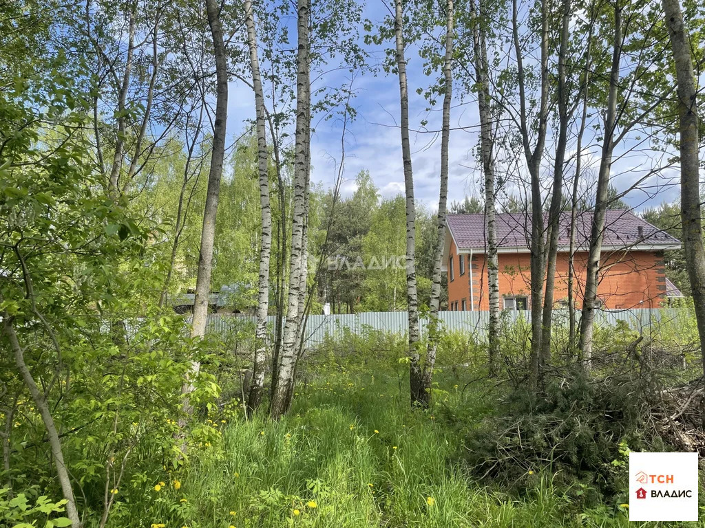 Продажа участка, Ельня, Богородский г. о. - Фото 5