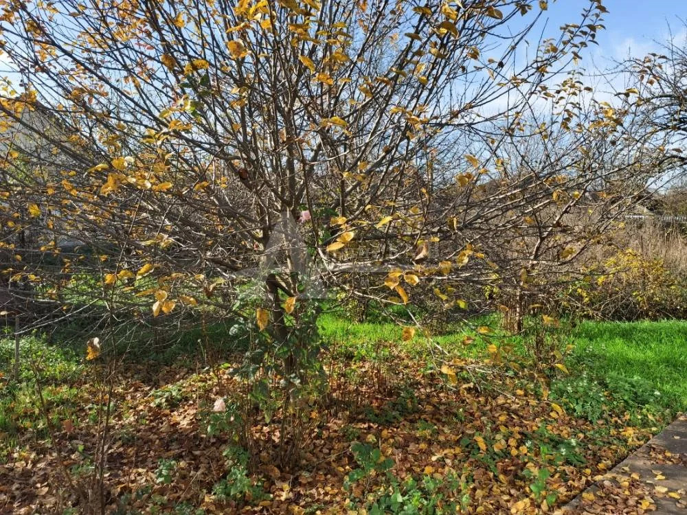 Продажа дома, Георгиевск, ул. Станционная - Фото 11