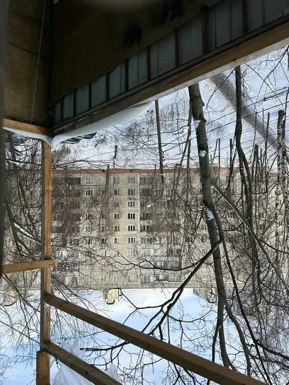 Однушку в Мытищах Общ.пл. 33 кв.м в 5-ти этажке на ул. Матросова Сдаю - Фото 23