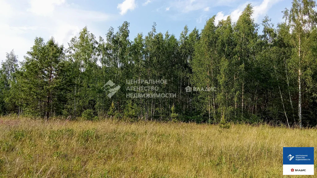 Продажа участка, Рязанский район, садоводческое товарищество ... - Фото 3