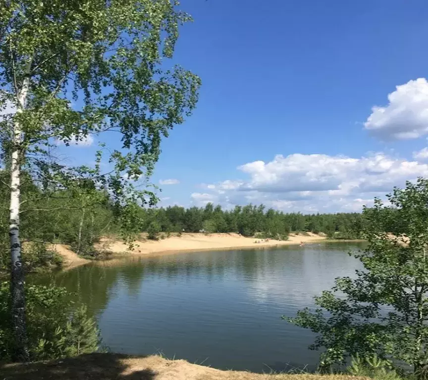 Продажа: дом в СНТ "Калинка" д. Дальняя Павловский Посад - Фото 0