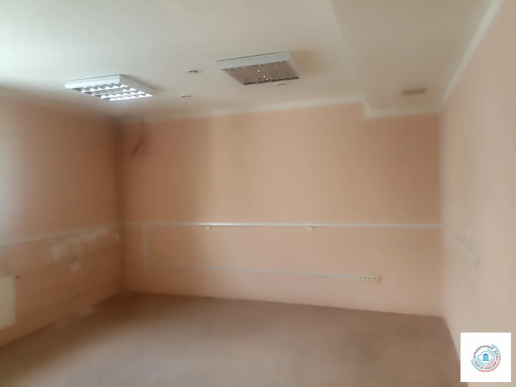 Помещение свободного назначения, 265.4 м - Фото 13