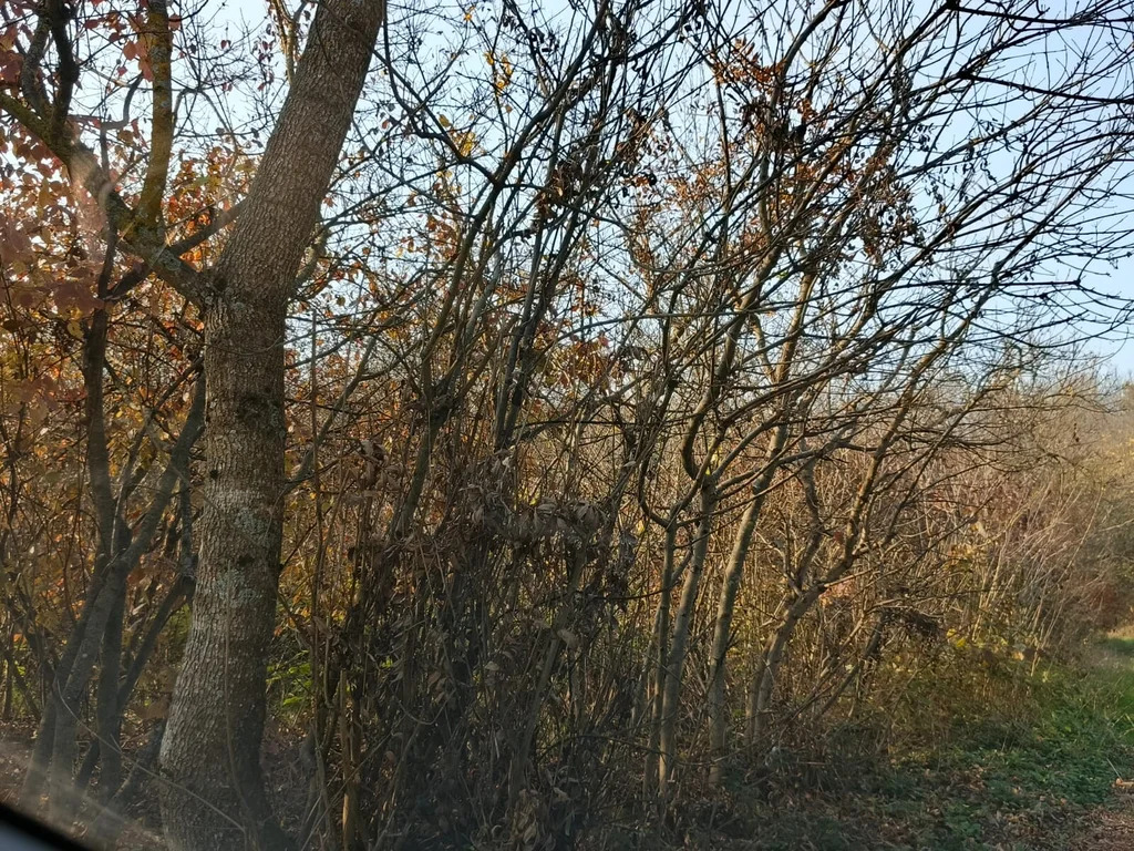 Продажа участка, Северский район - Фото 1