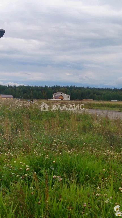 Ломоносовский район, коттеджный посёлок Малиновка,  земля на продажу - Фото 1