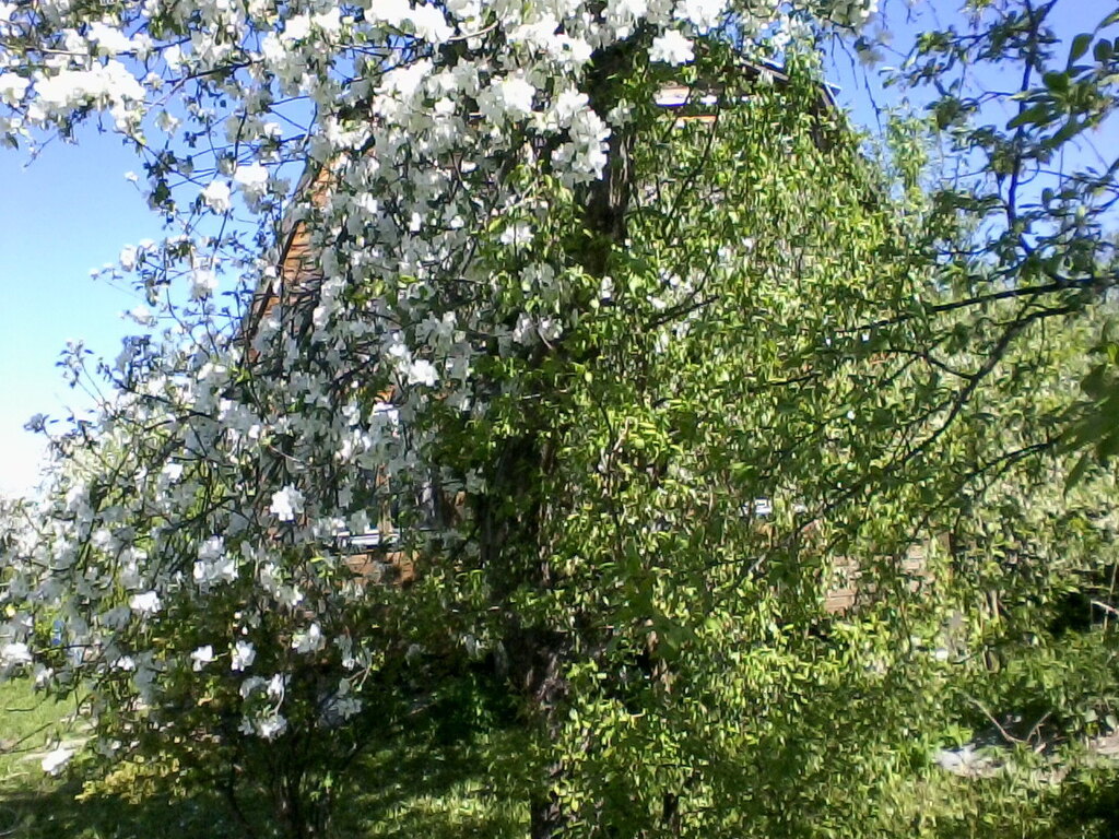 Купить Участки Мичуринец Дубна