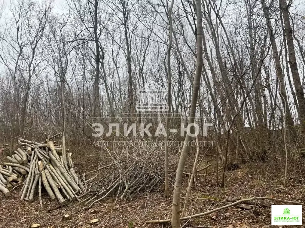 Продажа участка, Бжид, Туапсинский район, мкр. Юг - Фото 5