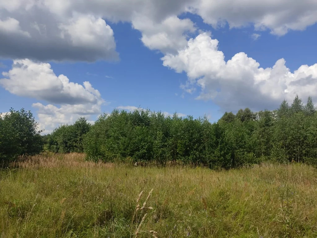 Продажа участка, Орехово-Зуевский район - Фото 3